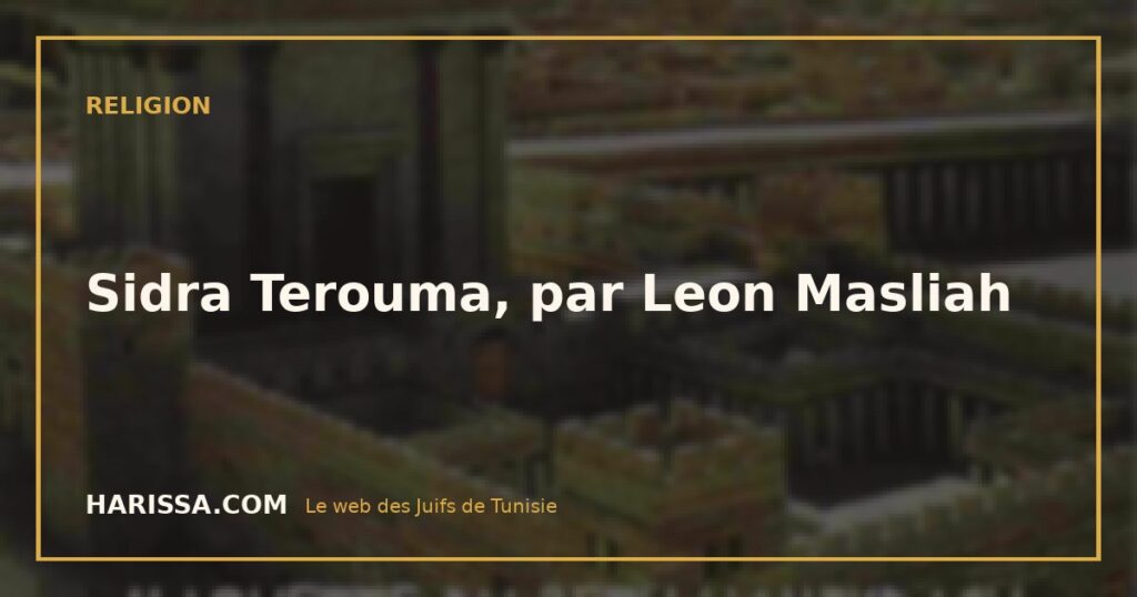 Sidra Terouma, par Leon Masliah