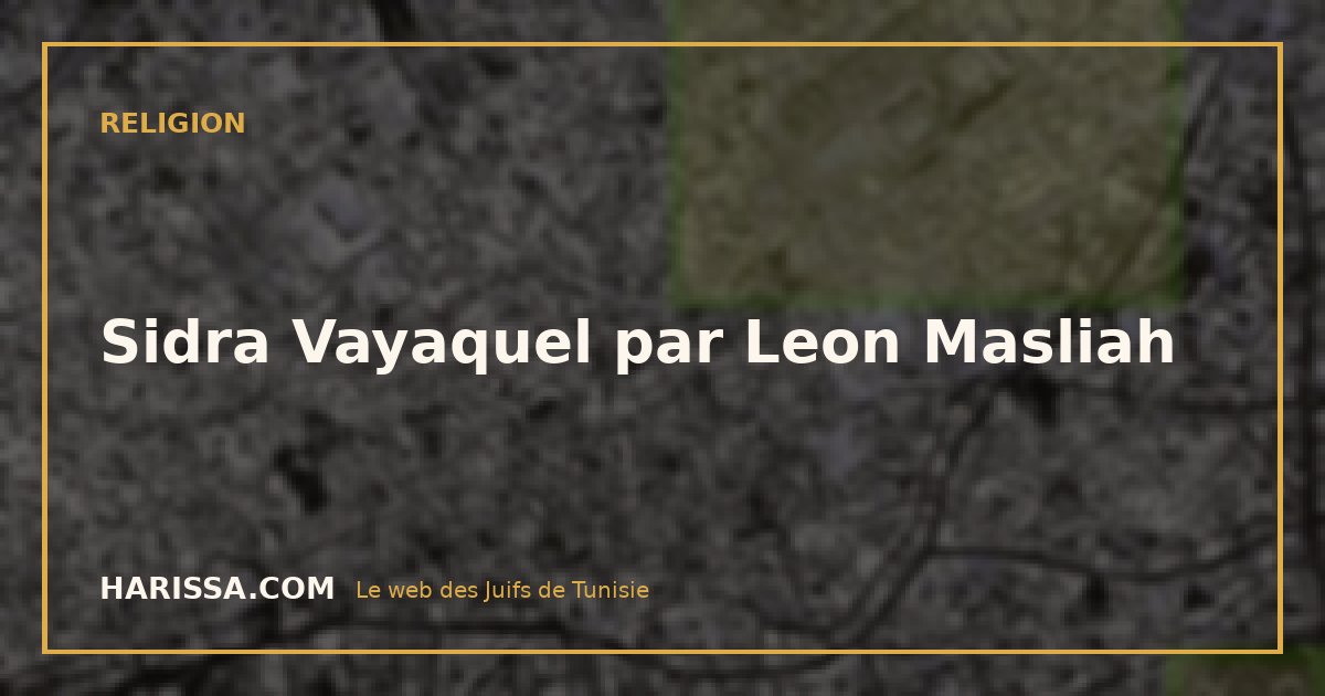 Sidra Vayaquel par Leon Masliah