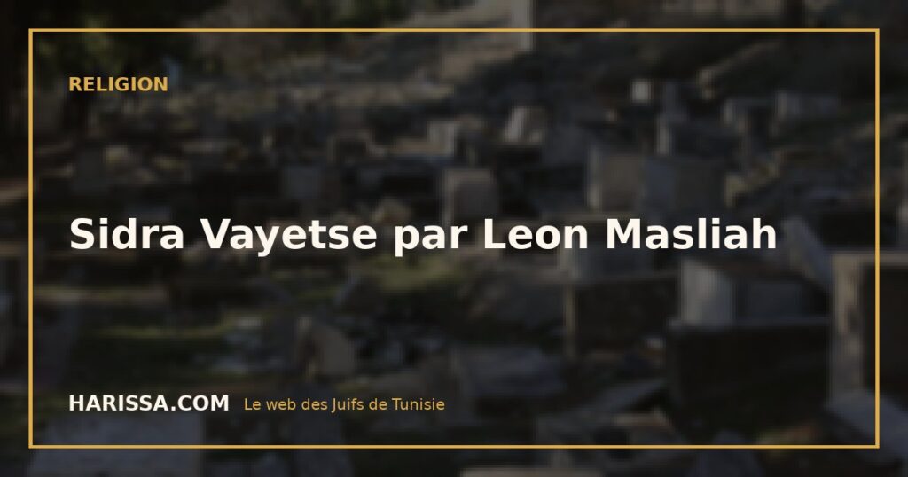 Sidra Vayetse par Leon Masliah