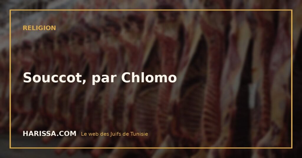 Souccot, par Chlomo
