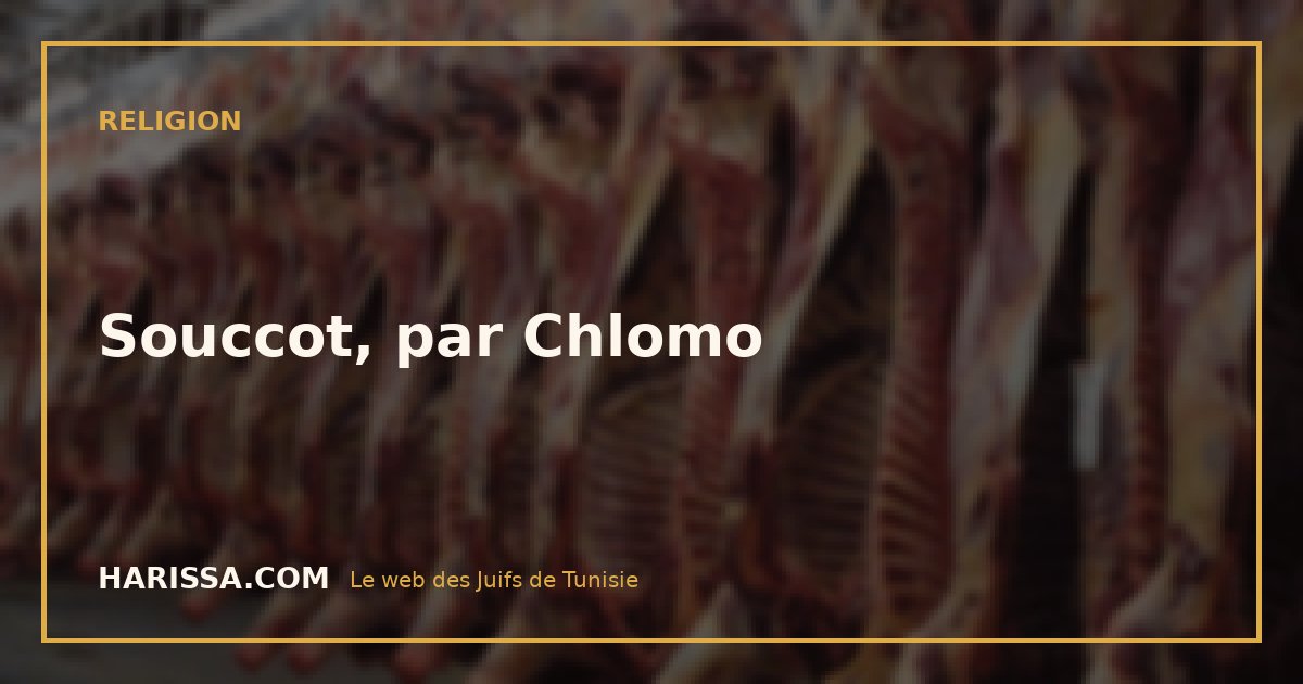 Souccot, par Chlomo