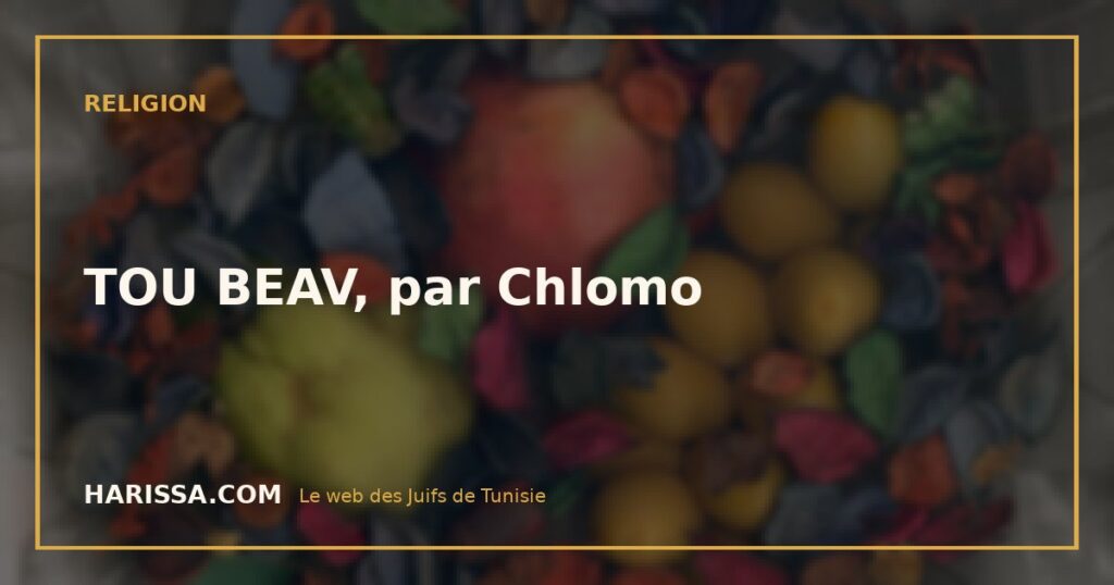 TOU BEAV, par Chlomo