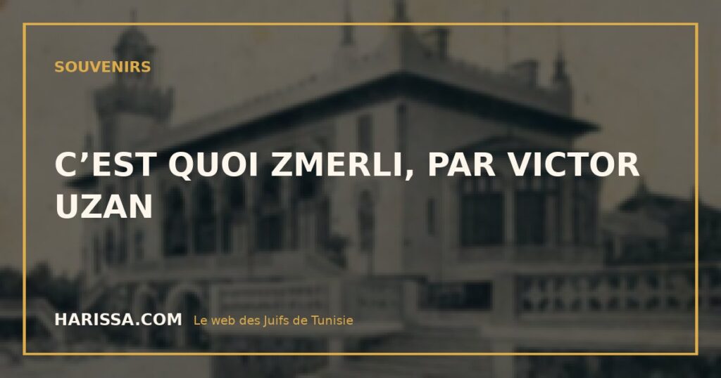 C’EST QUOI ZMERLI, PAR VICTOR UZAN