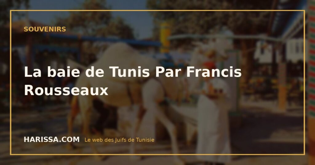La baie de Tunis Par Francis Rousseaux