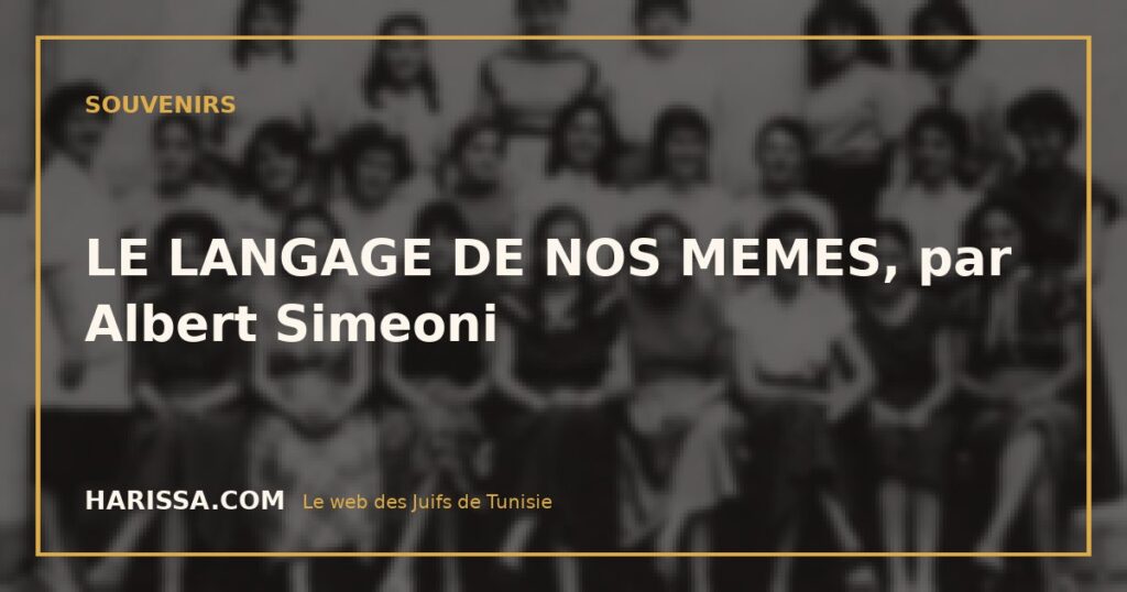 LE LANGAGE DE NOS MEMES, par Albert Simeoni