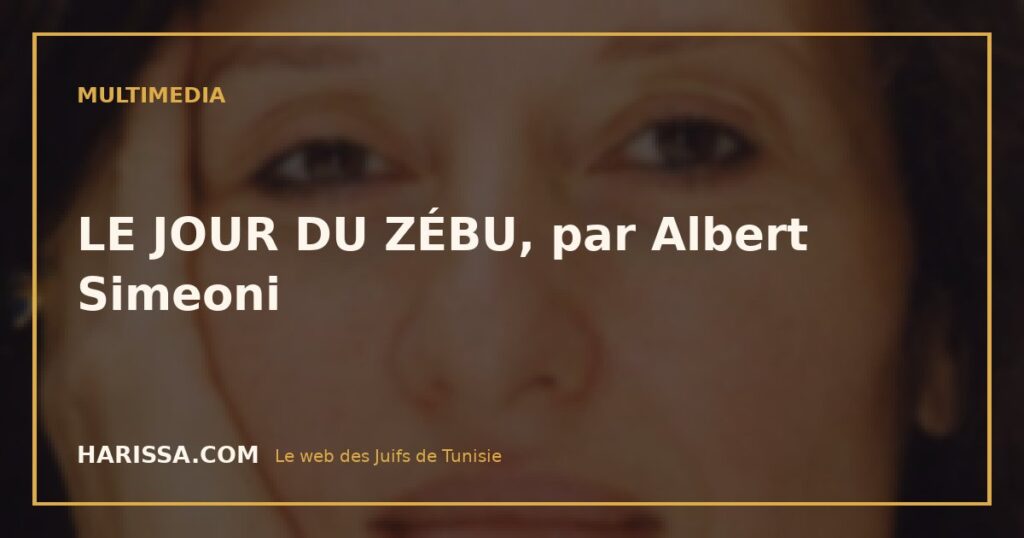 LE JOUR DU ZÉBU, par Albert Simeoni