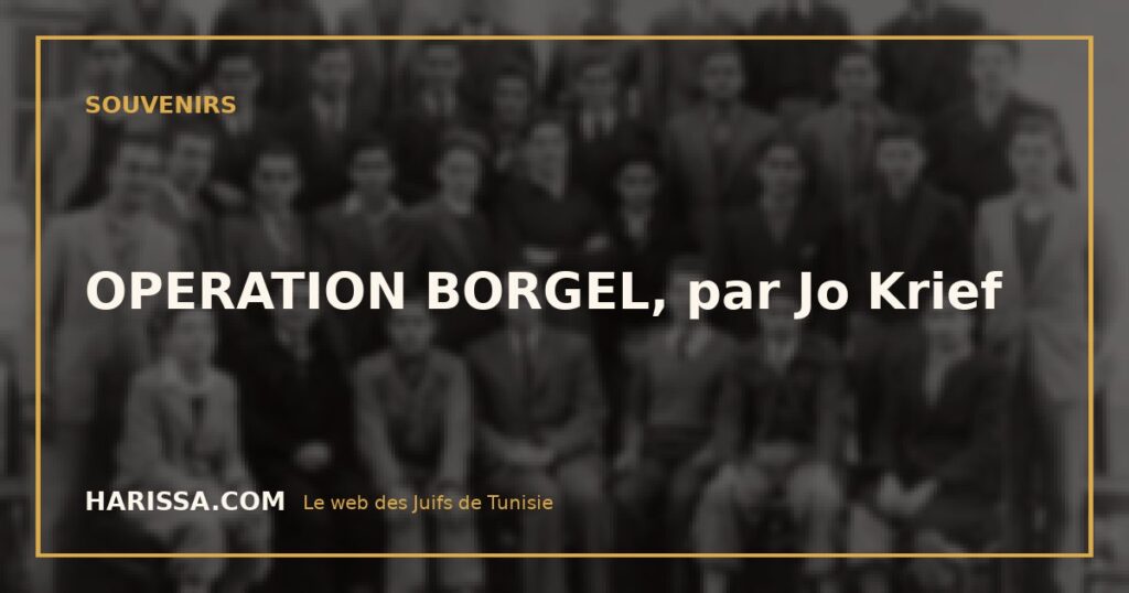 OPERATION BORGEL, par Jo Krief