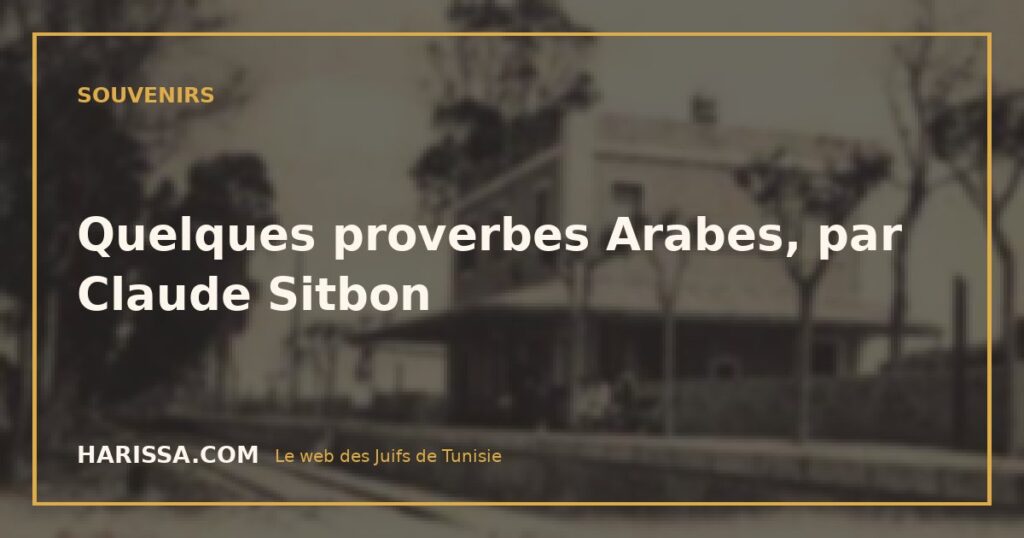 Quelques proverbes Arabes, par Claude Sitbon
