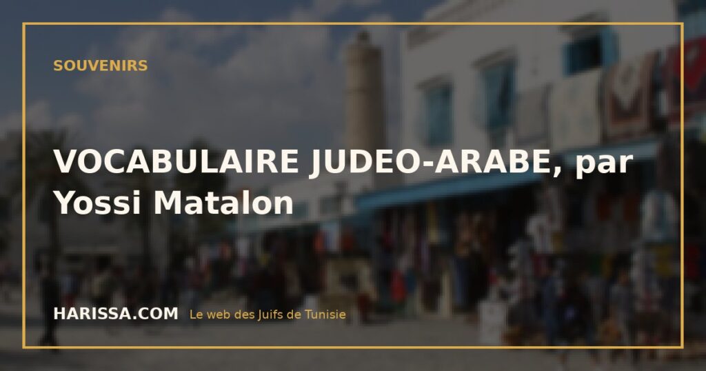 VOCABULAIRE JUDEO-ARABE, par Yossi Matalon