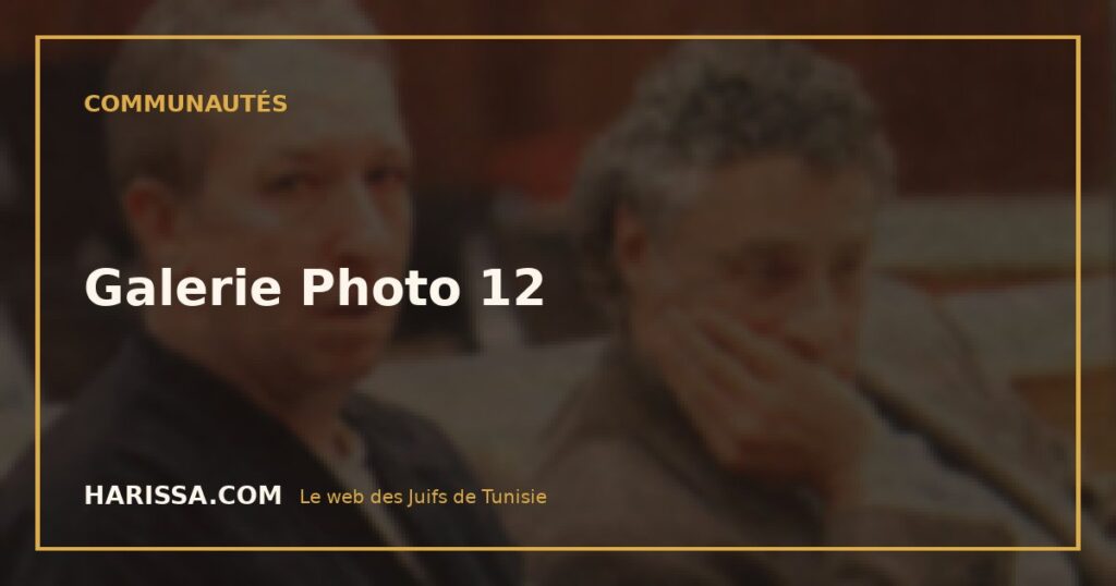 Galerie Photo 12
