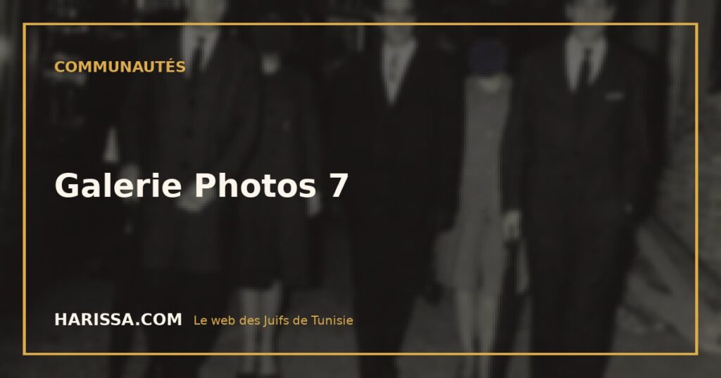 Galerie Photos 7