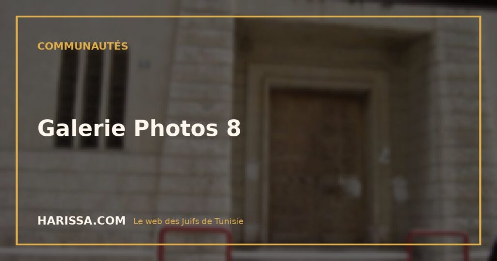 Galerie Photos 8