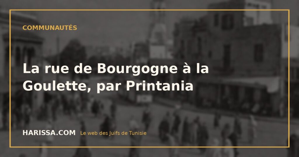 La rue de Bourgogne à la Goulette, par Printania