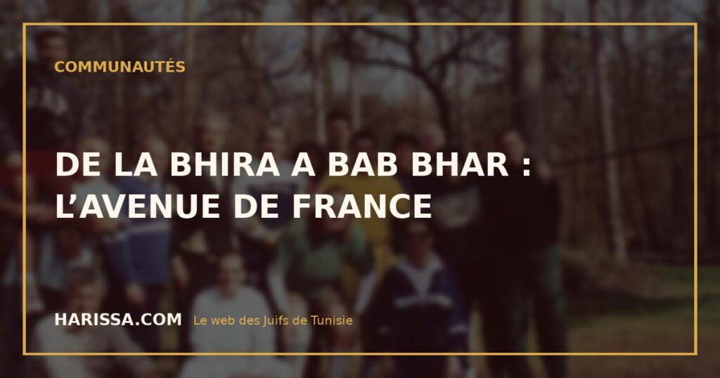 DE LA BHIRA A BAB BHAR : L’AVENUE DE FRANCE