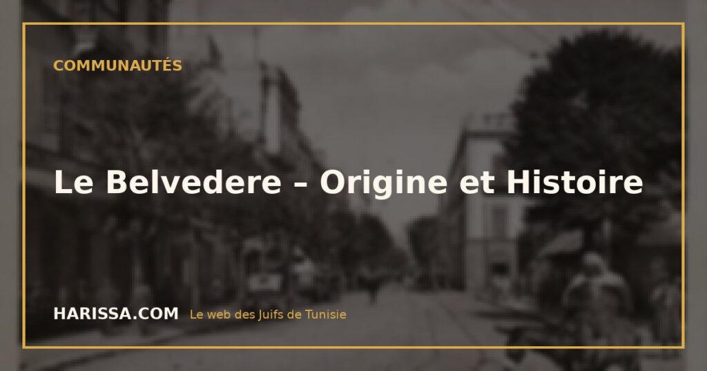 Le Belvedere – Origine et Histoire