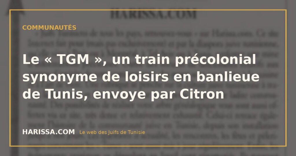 Le « TGM », un train précolonial synonyme de loisirs en banlieue de Tunis, envoye par Citron