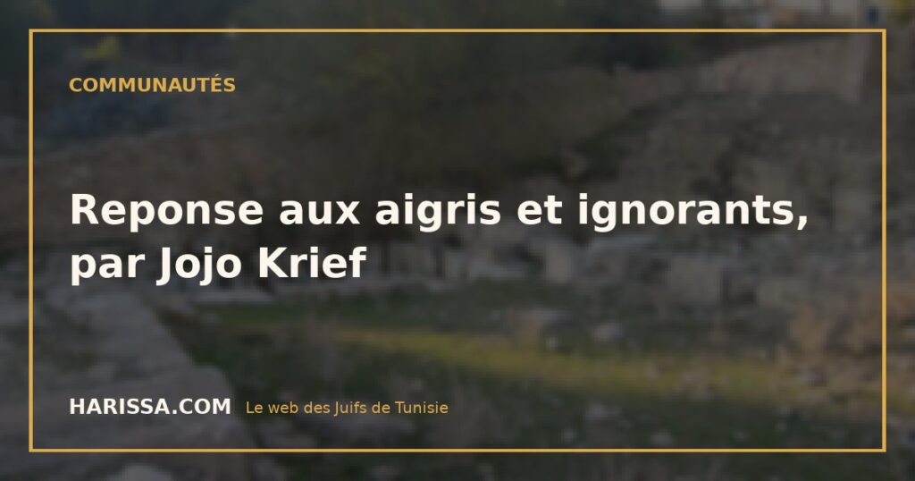 Reponse aux aigris et ignorants, par Jojo Krief