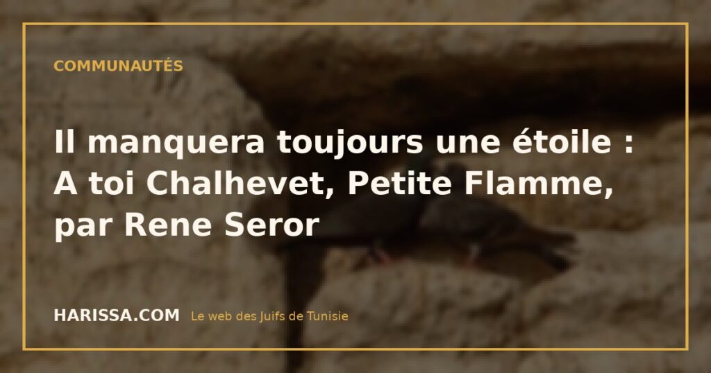 Il manquera toujours une étoile : A toi Chalhevet, Petite Flamme, par Rene Seror