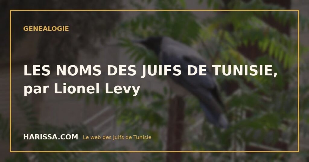 LES NOMS DES JUIFS DE TUNISIE, par Lionel Levy