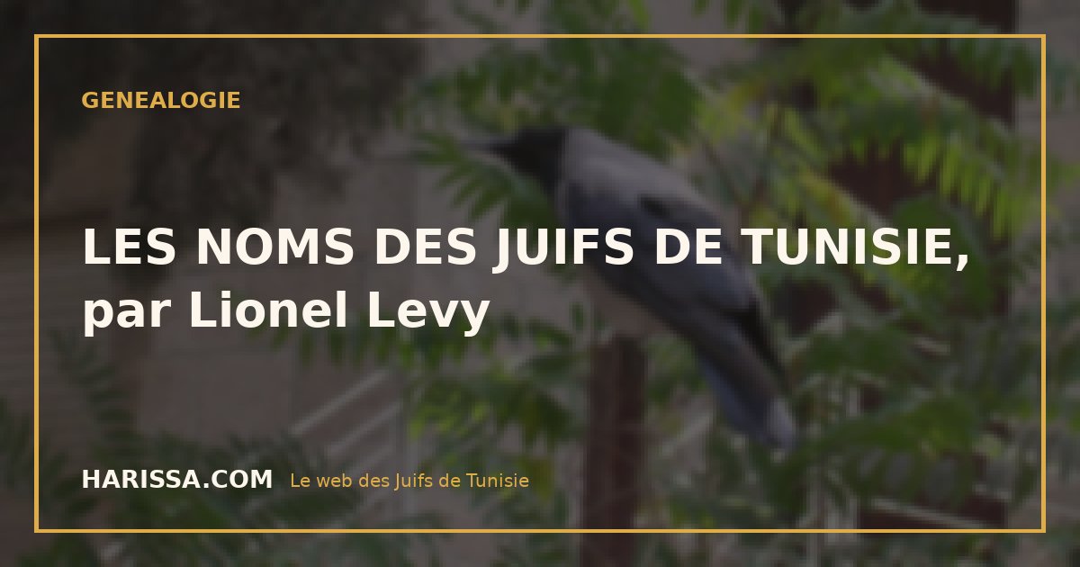 LES NOMS DES JUIFS DE TUNISIE, par Lionel Levy