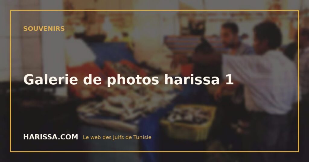 Galerie de photos harissa 1