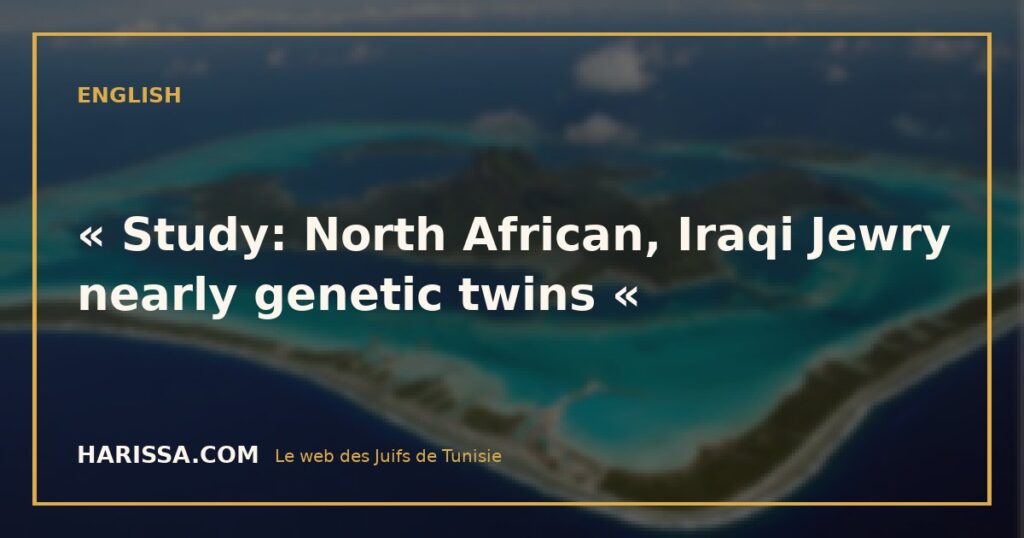 « Study: North African, Iraqi Jewry nearly genetic twins « 