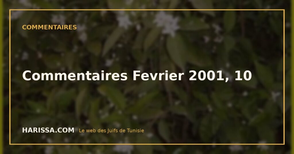 Commentaires Fevrier 2001, 10