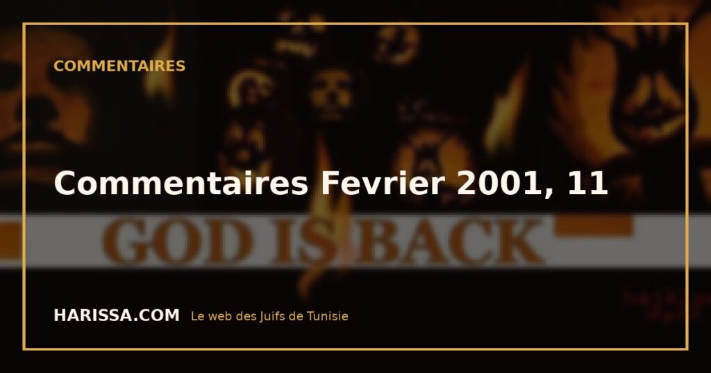 Commentaires Fevrier 2001, 11
