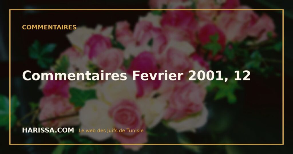 Commentaires Fevrier 2001, 12