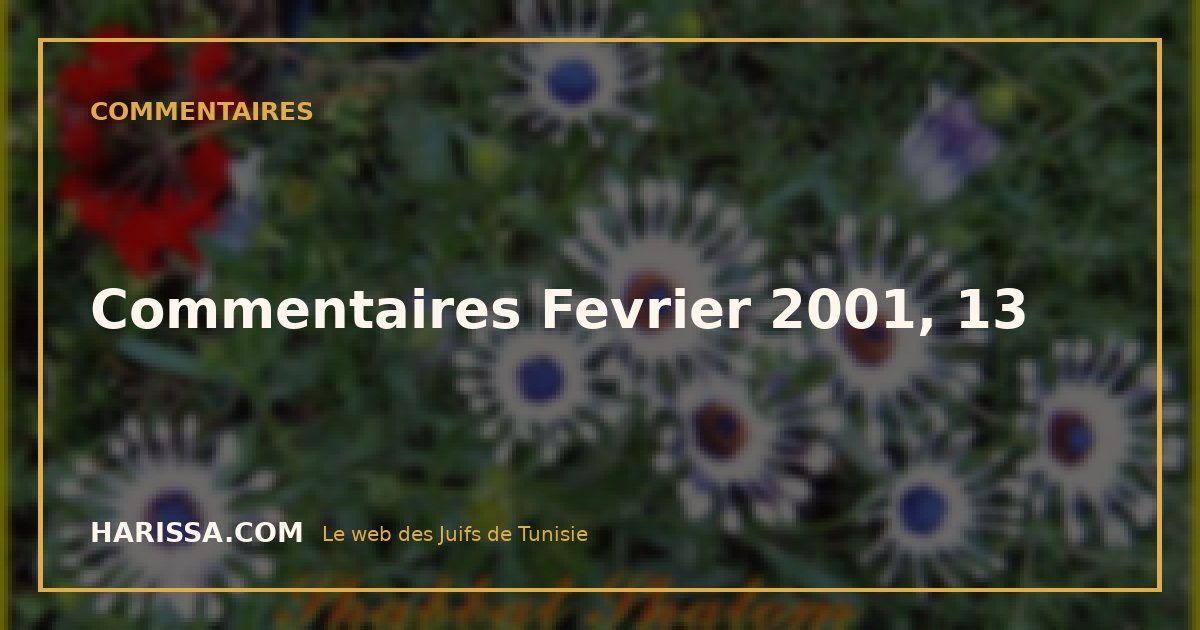 Commentaires Fevrier 2001, 13