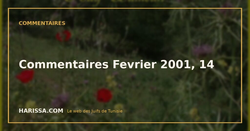 Commentaires Fevrier 2001, 14