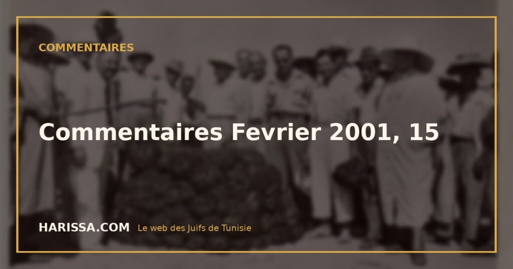 Commentaires Fevrier 2001, 15