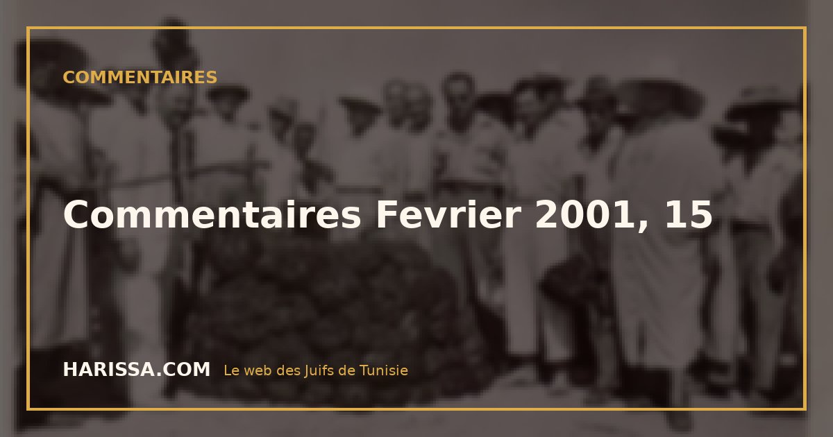 Commentaires Fevrier 2001, 15