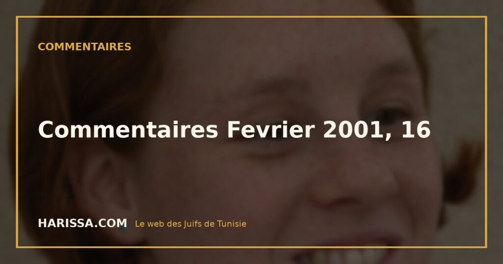 Commentaires Fevrier 2001, 16