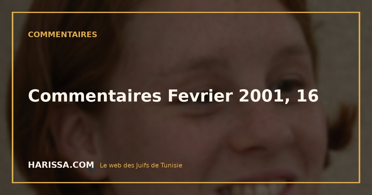 Commentaires Fevrier 2001, 16