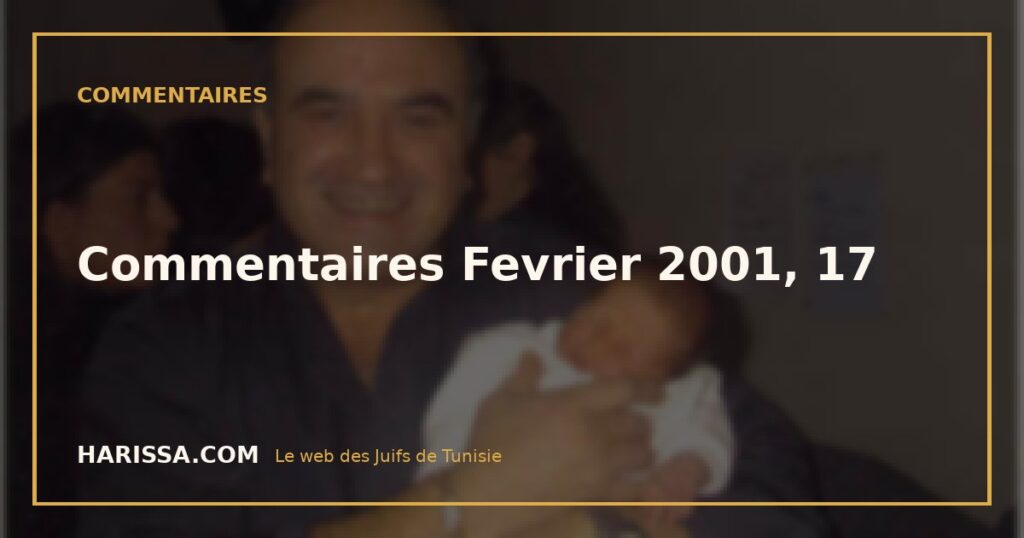 Commentaires Fevrier 2001, 17