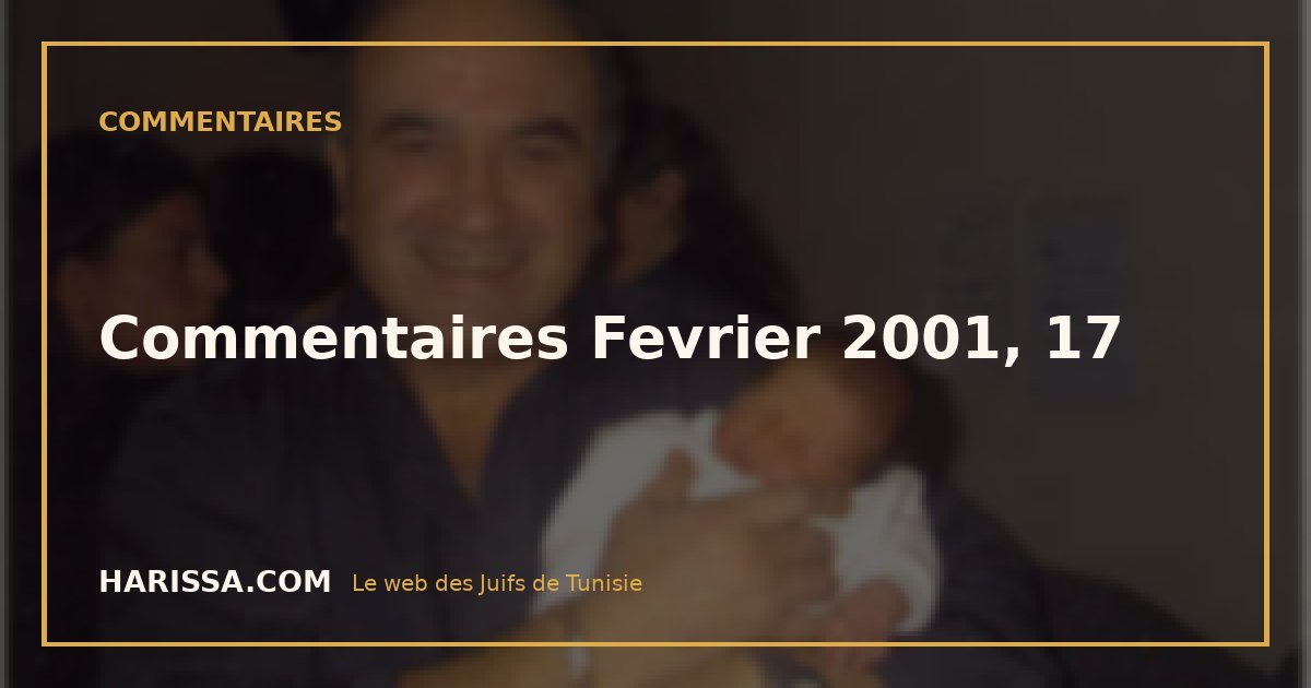 Commentaires Fevrier 2001, 17