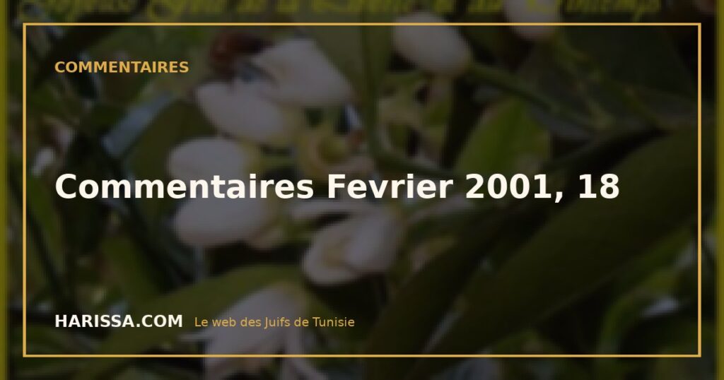 Commentaires Fevrier 2001, 18