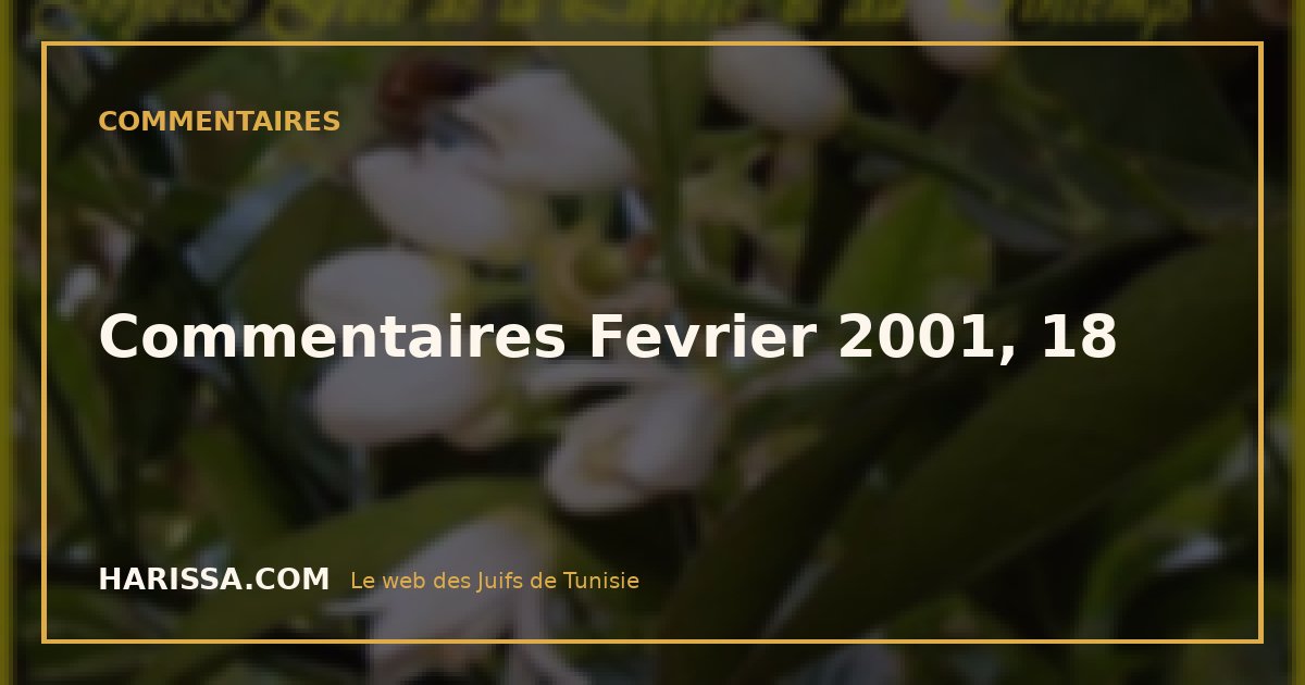 Commentaires Fevrier 2001, 18
