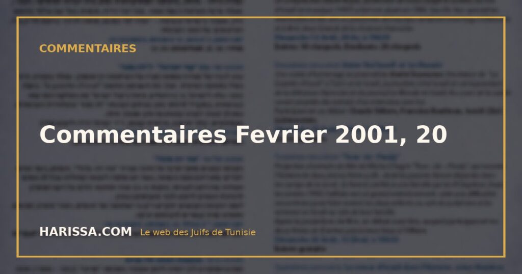 Commentaires Fevrier 2001, 20