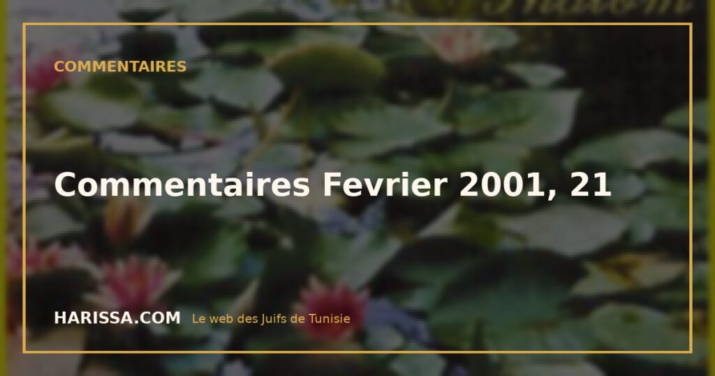 Commentaires Fevrier 2001, 21