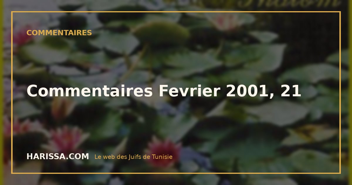 Commentaires Fevrier 2001, 21