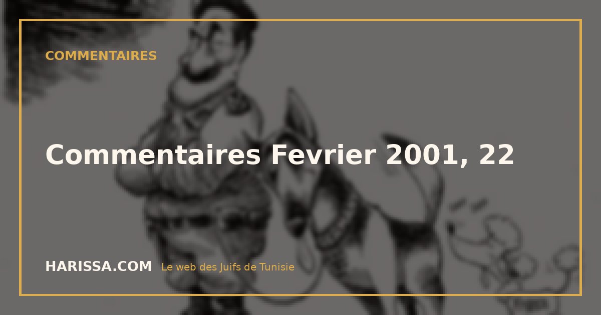 Commentaires Fevrier 2001, 22