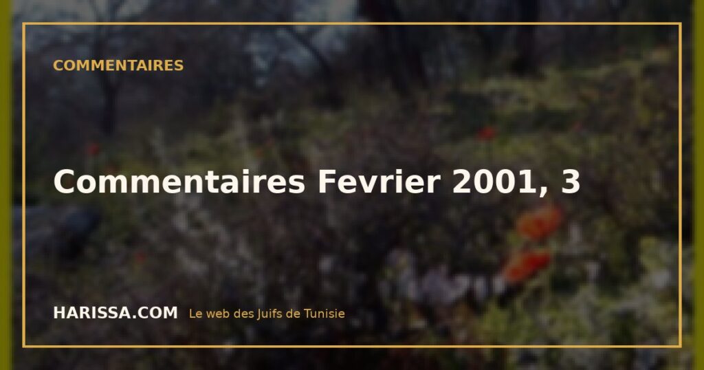 Commentaires Fevrier 2001, 3
