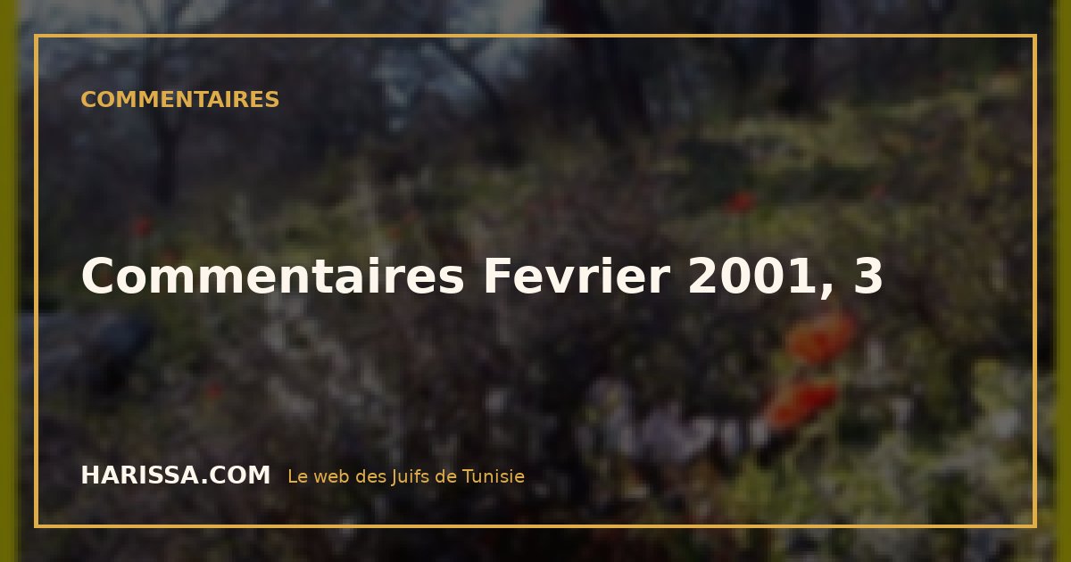 Commentaires Fevrier 2001, 3