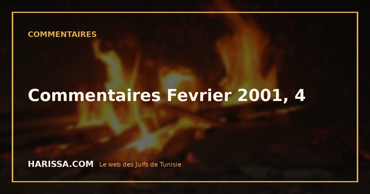 Commentaires Fevrier 2001, 4