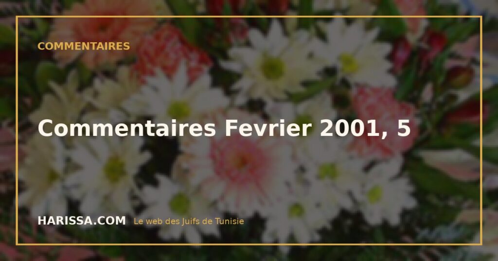 Commentaires Fevrier 2001, 5