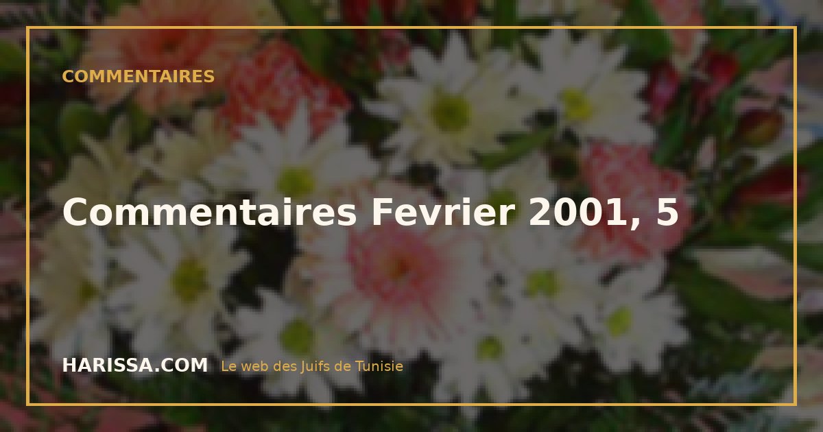 Commentaires Fevrier 2001, 5