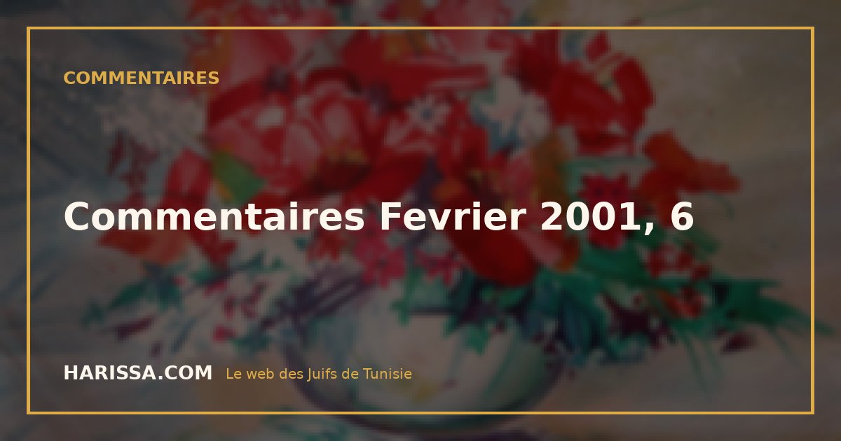 Commentaires Fevrier 2001, 6