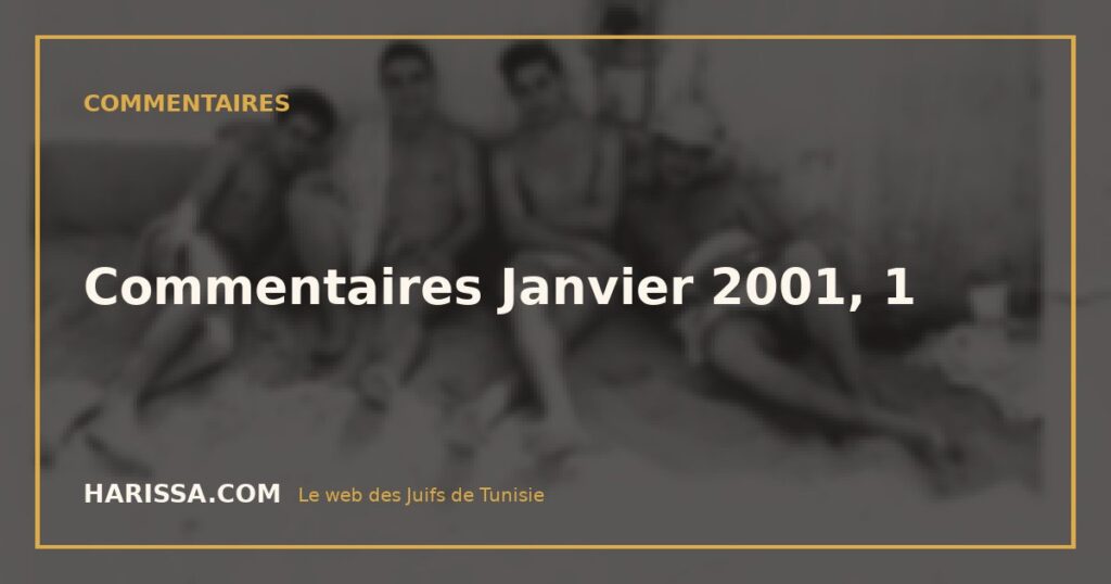 Commentaires Janvier 2001, 1